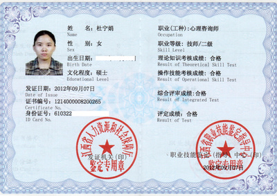 杜寧娟 技術咨詢領域的專業(yè)引領者